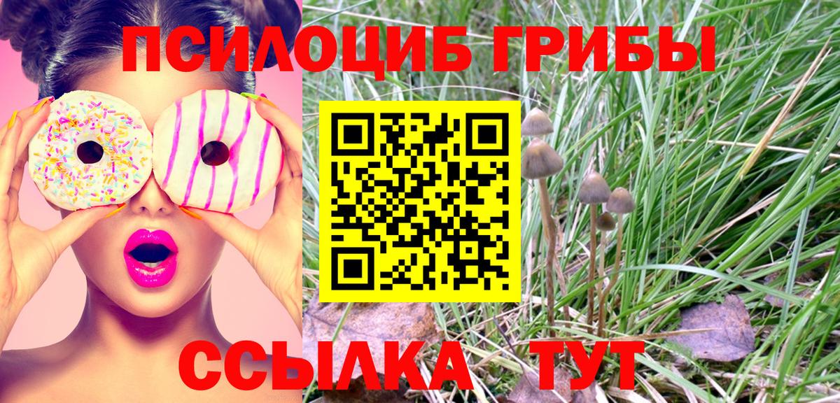 Псилоцибиновые грибы Psilocybine cubensis Кыштым